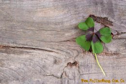 一场史无前例的疫情灾难，让我们明白