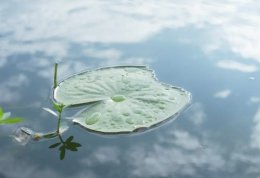 不犯邪淫，保持肾气，事业就非常容易