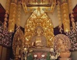 放下贪念，方得解脱