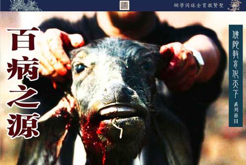 陈大惠：百病之源（上集）