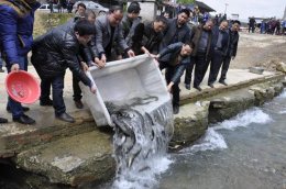 为什么放生能治病？