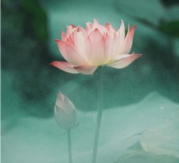 生死轮回善恶因果报应决定有