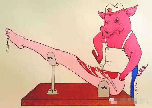 如把人和动物的角色互换 这个世