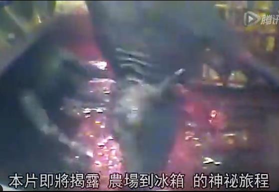 震撼:从农场到冰箱神秘旅程 每一片肉