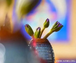 我怎么知道已经如法的忏悔干净了？