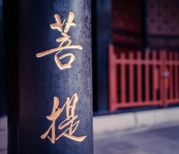 何为因果？何为业报？何为现世报