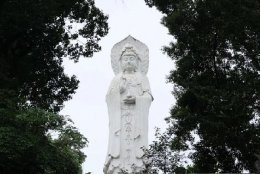 恭迎九月十九观世音菩萨