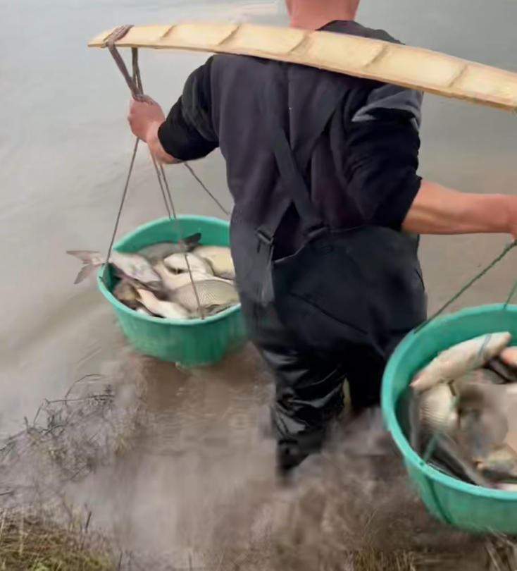 重庆放生纪实 2026年1月31日放生