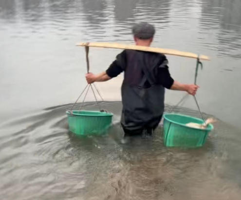 重庆放生纪实 2026年1月31日放生